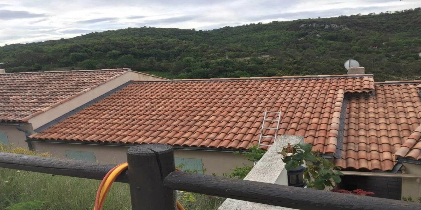 Nettoyage de tuiles à Seine-et-Marne